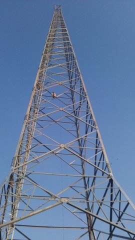 warid-msc